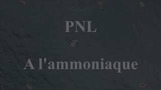 PNL  A lAmmoniaque INSTRUMENTAL remake sample [upl. by Robers]