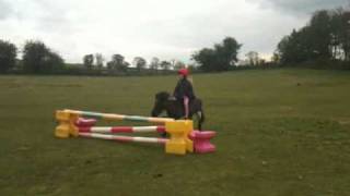 Show Jumping Shetland harry and kate [upl. by Llertnov815]