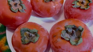 Persimmon fruit benefits kashmiri fruit shorts shortvideo trend islam kashmir fruits beauty [upl. by O'Connor654]