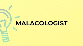 What is the meaning of the word MALACOLOGIST [upl. by Accebor]