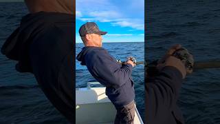 Monster fishing fish fishing preywinder shimanostella fiske seafishing foryou foxnfishing [upl. by Atnoek]