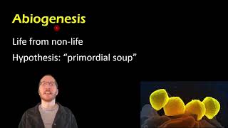 Biology Spontaneous Generation vs Biogenesis [upl. by Salvucci]