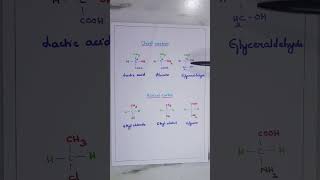 Chiral carbon and Achiral carbon Stereochemistry of Carbon compounds BSc General Chemistry [upl. by Quarta]