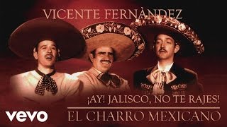 Vicente Fernández  ¡Ay Jalisco No Te Rajes Cover Audio [upl. by Geoff]