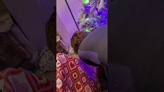 Vlogmas Day Four putting the Tree Skirt around the tree [upl. by Annecorinne354]