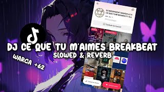 DJ CE QUE TU MAIMES BREAKBEAT Slowed amp Reverb [upl. by Attenrev672]