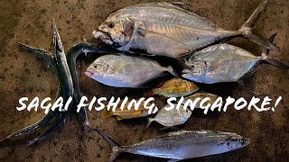 Fishiotherapy Charter  LongRakered Fin Trevally  Light Jigging in Singapore [upl. by Naihs]