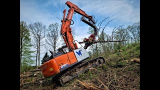 🌲Hitachi ZX 210 LC6 • Kettenharvester • Woody H61 • Bagger  Excavator • Starkholz • Big Trees 🌲 [upl. by Ardna94]