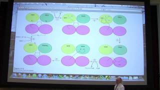 28 Biochemistry Citric Acid Cycle Lecture for Kevin Aherns BB 451551 [upl. by Armillas875]