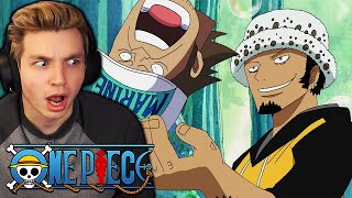 LAWS POWER REVEALED One Piece Reaction [upl. by Llenol]