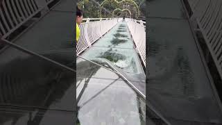 Clearing process of accumulated water in the glass walkway of the scenic area [upl. by Eikcir]