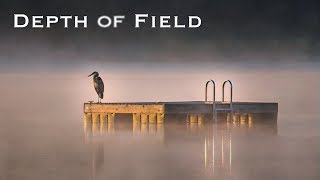 Depth of Field 2018  Robert Evans  Creating Powerful Imagery [upl. by Uball]