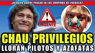 Milei le puso fin a los privilegios de la casta aeronáutica  ASN [upl. by Ynnavoj]