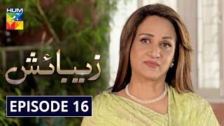 Zebaish Episode 16 HUM TV Drama 25 September 2020 [upl. by Valerlan132]