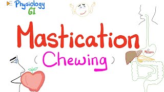 Mastication chewing   Mastication Reflex  Gastrointestinal Physiology [upl. by Harley775]