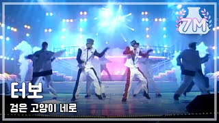 Turbo  Black Cat Nero 터보  검은 고양이 네로 MBC Top Music 19960119 [upl. by Nois]