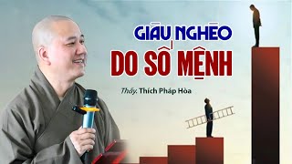 Giàu Nghèo Do Số Mệnh  Thầy Thích Pháp Hòa [upl. by Erdnua]