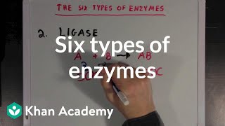 Six types of enzymes  Chemical Processes  MCAT  Khan Academy [upl. by Klug]