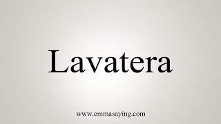 How To Say Lavatera [upl. by Weber590]