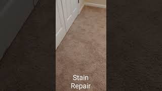 Carpet stain removal Home Improvement using carpet sectioning at house for sale in Raleigh NC [upl. by Haswell]