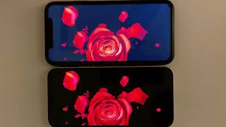 iPhone 12 OLED Super Retina XDR vs iPhone 11 LCD Screen Comparison Test [upl. by Nylirehs457]