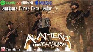 Los Alameños De La Sierra Mix 2024 Lo Más Chingon  Puros Huapangos  Puras Cumbias Para Bailar [upl. by Anuahsar811]