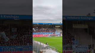 🦁Löwen vs Investor und zum Glück zurück 🎉  🏟️ 3Liga  ⚽ SV Sandhausen vs TSV 1860 München [upl. by Dode563]