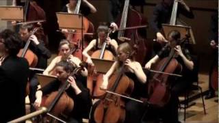 Brahms Symphony no4 movement 3 [upl. by Constantina]