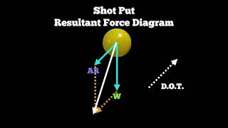 Biomechanics  Projectile Motion Free Body and Resultant Force Diagrams [upl. by Kalindi]