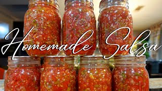 Homemade SALSA  Canning tips [upl. by Aekal742]