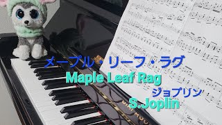 Maple Leaf RagScott Joplin [upl. by Adin]