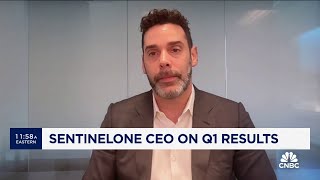 SentinelOne CEO on Q1 Pleased with performance but software buying habits are changing [upl. by Capwell]