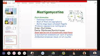 Classification of fungi  Anisworth Classification  Kingdom Fungi Classification  ABCDOPZ [upl. by Lexy478]