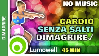 Ginnastica A Casa Per Dimagrire Senza Salti [upl. by Eissirc773]