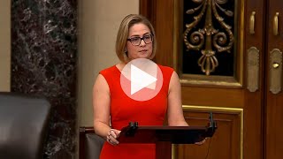 In Senate Floor Speech Sinema Sends Message to Partisans Blocking Bipartisan Border Security Bill [upl. by Vivienne706]