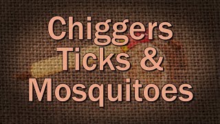 Chiggers Ticks and Mosquitoes – Family Plot [upl. by Chad]