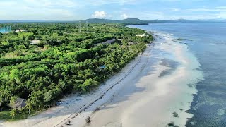 Libaong Beach Bohol Low Tide [upl. by Pretrice]