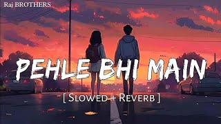 Pehle Bhi Main Slowed  Reverb  Vishal Mishra  Animal  Lofi  Raj BROTHERS [upl. by Rolland]