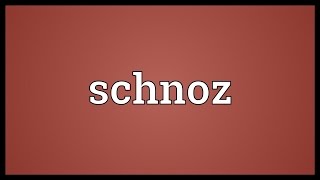 Schnoz Meaning [upl. by Libbi855]