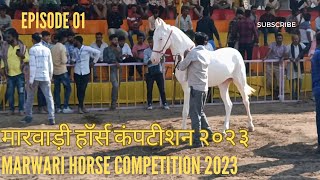 HORSE competition हॉर्स कॉम्पिटिशन [upl. by Nilorac824]