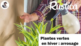 Larrosage des plantes dintérieur en hiver [upl. by Irisa]