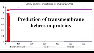 Transmembrane protein  Transmembrane region in Protein sequence  TMHMM [upl. by Elle]