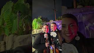 Mariachi Life 3236972795 Bubalu idontownthecopyrighttothismusic [upl. by Navac]