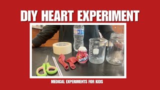 DIY HEART EXPERIMENT  MEDICAL MINDS OF FUTURE [upl. by Kilan]