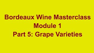 Bordeaux Wine Masterclass Module 1 Section 5 Grape Varieties [upl. by Adolpho938]