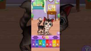 my cute cat piano 🎹 time foryou talkingtom entertainment [upl. by Anama874]