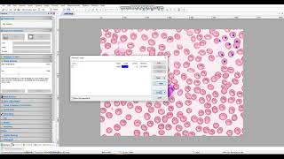 Microscope camera software introduction Manual Cell Counting [upl. by Macdonald]