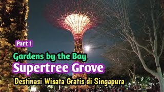 Supertree Grove Gardens by the Bay Singapore [upl. by Hgieloj864]