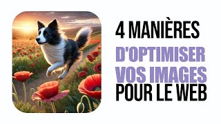 4 manières doptimiser vos images pour le Web [upl. by Kerman317]