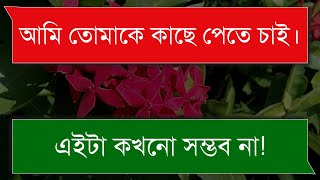 Dusto Chachato Bon Jokhon Bou  A Romantic Love Story  Sadiyas Diary [upl. by Verna28]